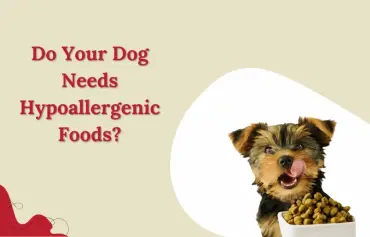 All About Hypoallergenic dog food: Do Your Dog Need?